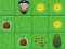 Trò chơi Magic Seeds trực tuyến