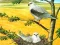 Trò chơi Birds Of Prey Puzzle trực tuyến
