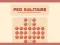 Trò chơi Peg Solitaire trực tuyến