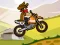 Trò chơi Hill Climb Moto trực tuyến