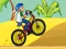 Trò chơi BMX Boy Online trực tuyến