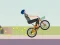 Trò chơi Wheelie Biker trực tuyến