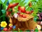 Trò chơi Hidden Objects Insects trực tuyến