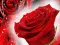 Trò chơi Red Roses trực tuyến