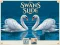 Trò chơi Swans Slide trực tuyến