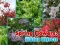 Trò chơi Spring Flowers: Hidden Objects trực tuyến