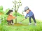 Trò chơi Arbor Day Puzzle trực tuyến