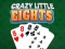 Trò chơi Crazy Little Eights trực tuyến