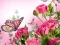 Trò chơi Butterflies Puzzle trực tuyến