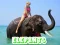 Trò chơi Elephants Puzzle trực tuyến