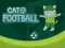 Trò chơi Cat Football trực tuyến