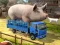 Trò chơi Driver Master Simulator trực tuyến