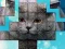 Trò chơi PicPu Cat trực tuyến