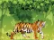 Trò chơi Angry Tiger Coloring trực tuyến