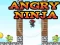 Trò chơi Angry Ninja trực tuyến