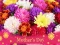 Trò chơi 2019 Mother's Day Puzzle trực tuyến