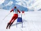 Trò chơi Slalom Ski Simulator trực tuyến