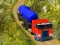 Trò chơi Indian Cargo Truck Simulator trực tuyến