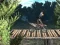 Trò chơi Bike Trial Xtreme Forest trực tuyến