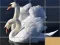 Trò chơi Animals Slide Puzzle trực tuyến