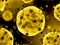 Trò chơi Coronavirus Slide trực tuyến