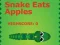 Trò chơi Snake Eats Apples trực tuyến