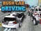 Trò chơi Rush Car Driving trực tuyến