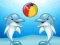 Trò chơi Dolphin Show trực tuyến