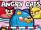 Trò chơi Angry Cats trực tuyến