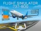 Trò chơi Flight Simulator 737-800 trực tuyến