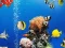 Trò chơi Sea Underwater Difference trực tuyến