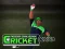 Trò chơi Cricket Fielder Challenge trực tuyến