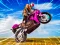 Trò chơi Crazy Wheelie Motorider trực tuyến