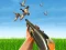 Trò chơi Bird Hunting trực tuyến