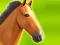 Trò chơi Horse Run 3D trực tuyến