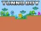 Trò chơi Tunno Boy trực tuyến