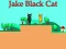 Trò chơi Jake Black Cat trực tuyến