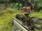 Trò chơi Stag Hunt trực tuyến