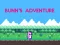 Trò chơi Bunn's Adventure trực tuyến