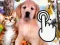 Trò chơi Pets Clicker trực tuyến