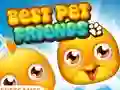 Trò chơi Best Pet Friends trực tuyến