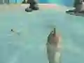 Trò chơi Shark Simulator Beach Killer trực tuyến