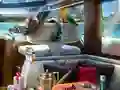 Trò chơi Caribbean Crime trực tuyến