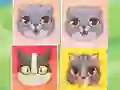 Trò chơi Kitten Match trực tuyến