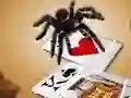 Trò chơi Jumping Spider trực tuyến