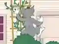 Trò chơi Tom und Jerry: Wasserbomben Wahnsinn trực tuyến