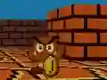 Trò chơi Mario FPS trực tuyến