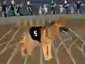 Trò chơi Crazy Dog Racing Fever trực tuyến
