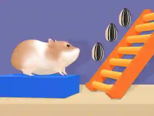 Trò chơi Hamster Stack Maze trực tuyến