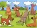 Trò chơi Animals Differences trực tuyến